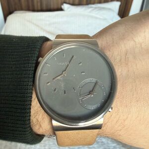 Skagen Gray and Tan Watch